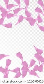Pink Cherry Blossom Falling Down. Isolated Vector illustration of Cherry Blossom. Flying Pink Sakura Petals Background. Design of Greeting or Invitation Card. 
