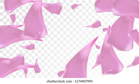 Pink Cherry Blossom Falling Down. Isolated Vector illustration of Cherry Blossom. Flying Pink Sakura Petals Background. Design of Greeting or Invitation Card. 
