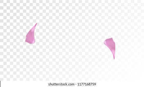 Pink Cherry Blossom Falling Down. Isolated Vector illustration of Cherry Blossom. Flying Pink Sakura Petals Background. Design of Greeting or Invitation Card. 
