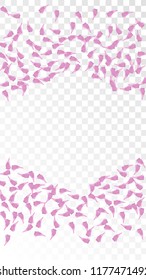 Pink Cherry Blossom Falling Down. Isolated Vector illustration of Cherry Blossom. Flying Pink Sakura Petals Background. Design of Greeting or Invitation Card. 
