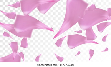 Pink Cherry Blossom Falling Down. Isolated Vector illustration of Cherry Blossom. Flying Pink Sakura Petals Background. Design of Greeting or Invitation Card. 
