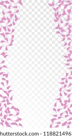 Pink Cherry Blossom Falling Down. Isolated Vector illustration of Cherry Blossom. Flying Pink Sakura Petals Background. Design of Greeting or Invitation Card. 
