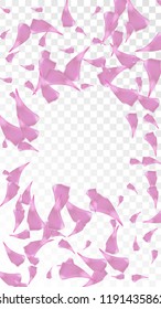 Pink Cherry Blossom Falling Down. Isolated Vector illustration of Cherry Blossom. Flying Pink Sakura Petals Background. Design of Greeting or Invitation Card. 
