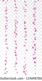 Pink Cherry Blossom Falling Down. Isolated Vector illustration of Cherry Blossom. Flying Pink Sakura Petals Background. Design of Greeting or Invitation Card. 
