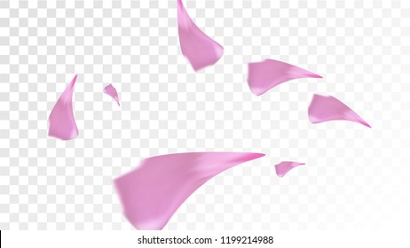 Pink Cherry Blossom Falling Down. Isolated Vector illustration of Cherry Blossom. Flying Pink Sakura Petals Background. Design of Greeting or Invitation Card. 
