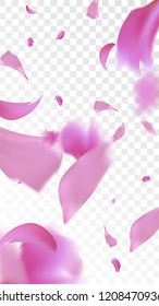 Pink Cherry Blossom Falling Down. Isolated Vector illustration of Cherry Blossom. Flying Pink Sakura Petals Background. Design of Greeting or Invitation Card. 

