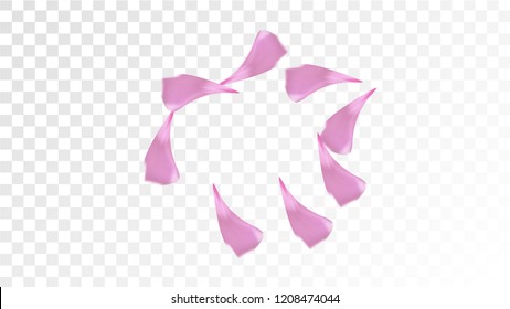 Pink Cherry Blossom Falling Down. Isolated Vector illustration of Cherry Blossom. Flying Pink Sakura Petals Background. Design of Greeting or Invitation Card. 
