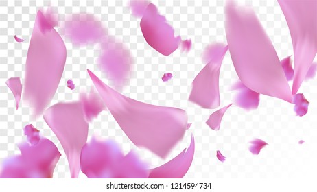 Pink Cherry Blossom Falling Down. Isolated Vector illustration of Cherry Blossom. Flying Pink Sakura Petals Background. Design of Greeting or Invitation Card. 
