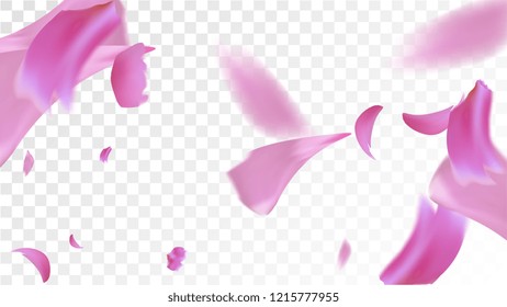 Pink Cherry Blossom Falling Down. Isolated Vector illustration of Cherry Blossom. Flying Pink Sakura Petals Background. Design of Greeting or Invitation Card. 
