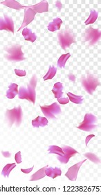 Pink Cherry Blossom Falling Down. Isolated Vector illustration of Cherry Blossom. Flying Pink Sakura Petals Background. Design of Greeting or Invitation Card. 
