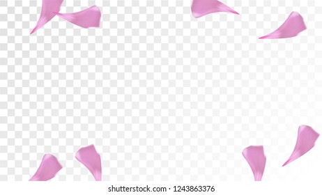 Pink Cherry Blossom Falling Down. Isolated Vector illustration of Cherry Blossom. Flying Pink Sakura Petals Background. Design of Greeting or Invitation Card. 
