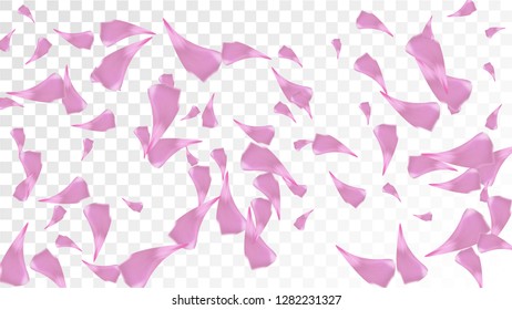 Pink Cherry Blossom Falling Down. Isolated Vector illustration of Cherry Blossom. Flying Pink Sakura Petals Background. Design of Greeting or Invitation Card. 
