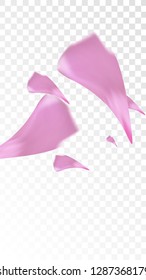 Pink Cherry Blossom Falling Down. Isolated Vector illustration of Cherry Blossom. Flying Pink Sakura Petals Background. Design of Greeting or Invitation Card. 
