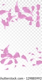 Pink Cherry Blossom Falling Down. Isolated Vector illustration of Cherry Blossom. Flying Pink Sakura Petals Background. Design of Greeting or Invitation Card. 
