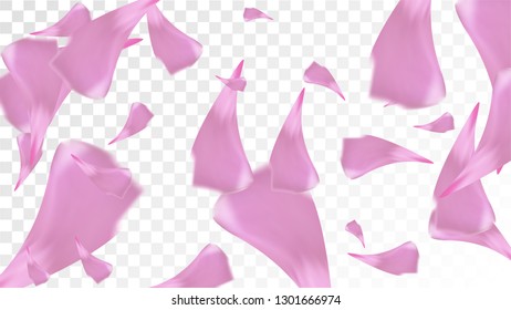 Pink Cherry Blossom Falling Down. Isolated Vector illustration of Cherry Blossom. Flying Pink Sakura Petals Background. Design of Greeting or Invitation Card. 
