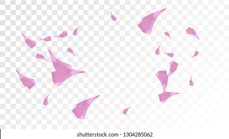 Pink Cherry Blossom Falling Down. Isolated Vector illustration of Cherry Blossom. Flying Pink Sakura Petals Background. Design of Greeting or Invitation Card. 
