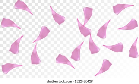 Pink Cherry Blossom Falling Down. Isolated Vector illustration of Cherry Blossom. Flying Pink Sakura Petals Background. Design of Greeting or Invitation Card. 
