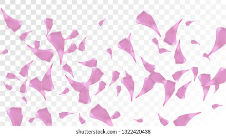 Pink Cherry Blossom Falling Down. Isolated Vector illustration of Cherry Blossom. Flying Pink Sakura Petals Background. Design of Greeting or Invitation Card. 
