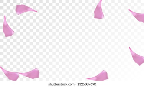 Pink Cherry Blossom Falling Down. Isolated Vector illustration of Cherry Blossom. Flying Pink Sakura Petals Background. Design of Greeting or Invitation Card. 
