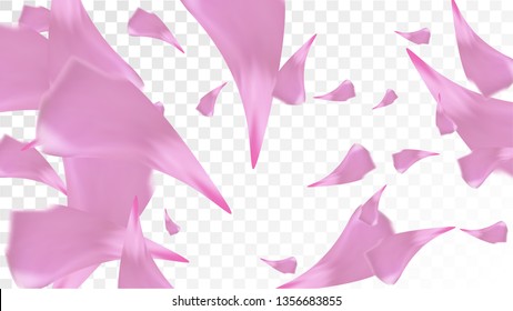 Pink Cherry Blossom Falling Down. Isolated Vector illustration of Cherry Blossom. Flying Pink Sakura Petals Background. Design of Greeting or Invitation Card. 
