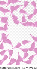 Pink Cherry Blossom Falling Down. Isolated Vector illustration of Cherry Blossom. Flying Pink Sakura Petals Background. Design of Greeting or Invitation Card. 
