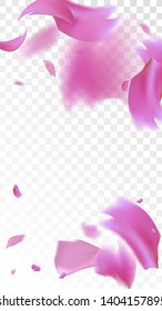 Pink Cherry Blossom Falling Down. Isolated Vector illustration of Cherry Blossom. Flying Pink Sakura Petals Background. Design of Greeting or Invitation Card. 

