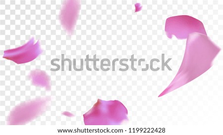 Similar – Image, Stock Photo Pink flower Elegant Style