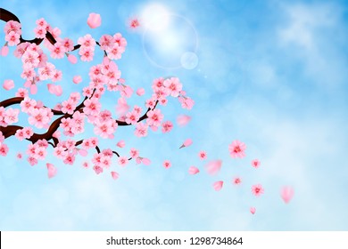 Pink cherry blossom 
with falling leaves on blue sky background. Spring composition with sakura. Vector illustration