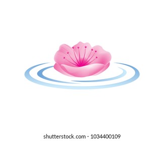 Pink Cherry Blossom Floating On a Water Logo In Isolated White Background
