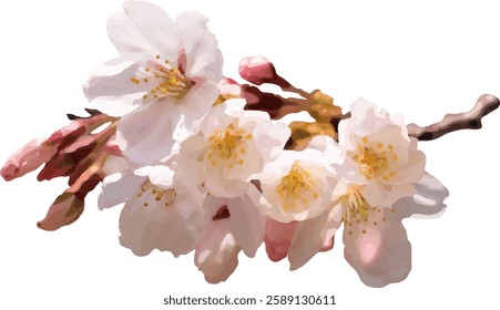 pink cherry blossom flower blooming3