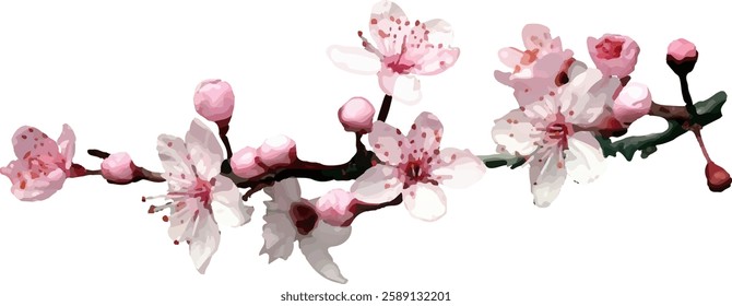 pink cherry blossom flower blooming9