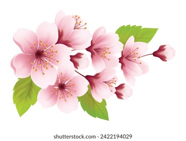 Pink Cherry Blossom Flower Branch