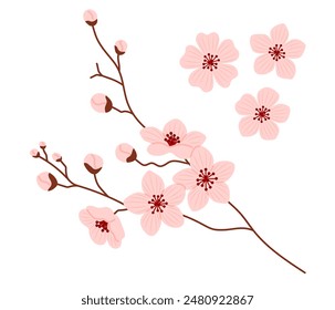 Pink cherry blossom flower branch in full bloom. Flat Vector illustration isolated on white background