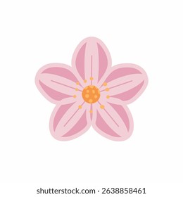 Pink Cherry Blossom Flower Isolated