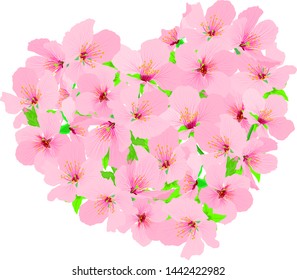Pink cherry blossom in heart shape. Illustration isolated on white background. Happy Valentine's day.