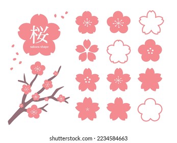 Pink cherry blossom illustration set