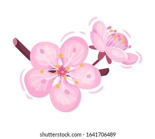 Pink Cherry Blossom on Stem Decorative Vector Element Isolated on White Background