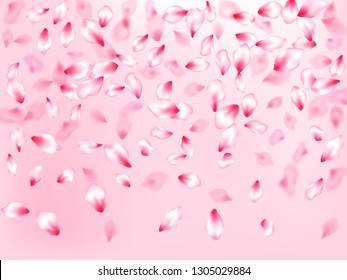 Pink cherry blossom petals isolated on rose color background. Abstract card backdrop. Natural marrige decor of chinese cherry petals. Flying sakura flower parts spring wedding vector.