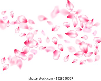 Pink cherry blossom petals isolated windy blowing background. Spring season backdrop. Pastel pink blossom petals floral design. Flying sakura flower parts spring wedding vector.