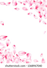 Pink cherry blossom petals isolated windy blowing background. Flying sakura flower parts spring wedding vector. Realistic peach flolwer petals natural decor. Asian poster background.