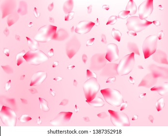 Pink cherry blossom petals isolated on rose color background. Flying sakura flower parts spring wedding vector. Pastel pink blossom petals floral design. Park graphic elements.