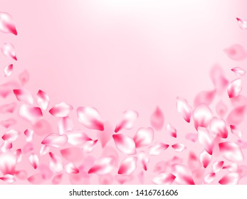 Pink cherry blossom petals isolated on rose color background. Flying sakura flower parts spring wedding vector. Pastel rose color apple flower petals design. Garden bloom parts.