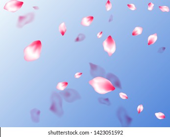 Pink cherry blossom petals isolated on blue sky background. Flying sakura flower parts spring wedding vector. Pastel rose color apple flower petals design. Springtime symbols.