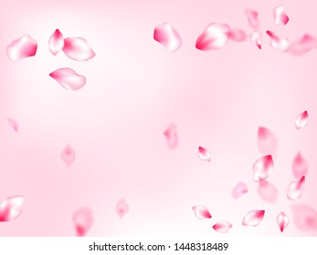 Pink cherry blossom petals isolated on rose color background. Flying sakura flower parts spring wedding vector. SPA beauty illustration of sakura bloom petals. Delicate spring vector.