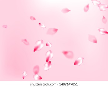 Pink cherry blossom petals isolated on rose color background. Flying sakura flower parts spring wedding vector. Realistic peach flolwer petals natural decor. Blur effect bloom parts.