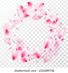 Pink cherry blossom petals isolated on transparent background. Blured texture elements. Floral natural blossom soft petals illustration. Flying sakura flower parts spring wedding vector.