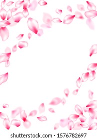Pink cherry blossom petals isolated windy blowing background. Flying sakura flower parts spring wedding vector. Pastel pink blossom petals floral design. Blur effect bloom parts.
