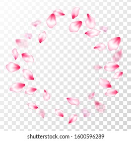 Pink cherry blossom petals isolated on transparent background. Abstract card backdrop. Realistic peach flolwer petals natural decor. Flying sakura flower parts spring wedding vector.