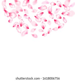 Pink cherry blossom petals isolated windy blowing background. Flying sakura flower parts spring wedding vector. Spring or summer light flower petals illustration. Close up bloom elements.