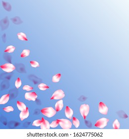 Pink cherry blossom petals isolated on blue sky background. Flying sakura flower parts spring wedding vector. Pastel pink blossom petals floral design. Anniversary background.